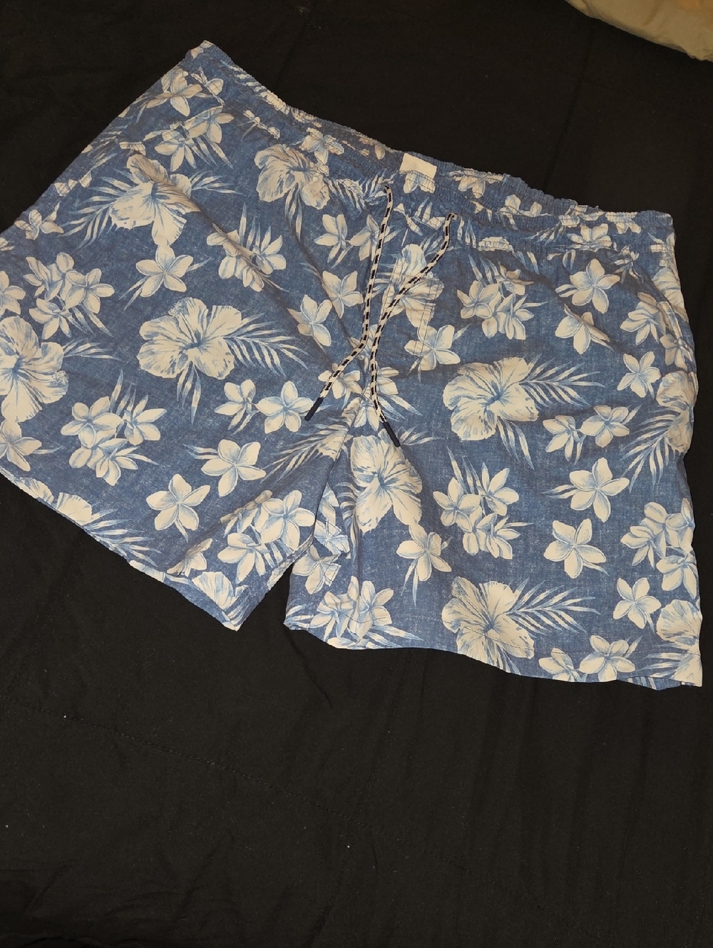 American Eagle Outfitters Mens Swim Trunk